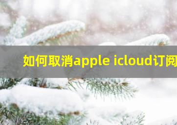 如何取消apple icloud订阅